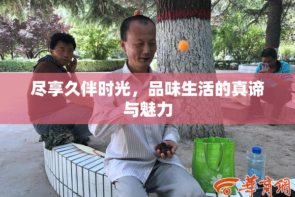 尽享久伴时光，品味生活的真谛与魅力