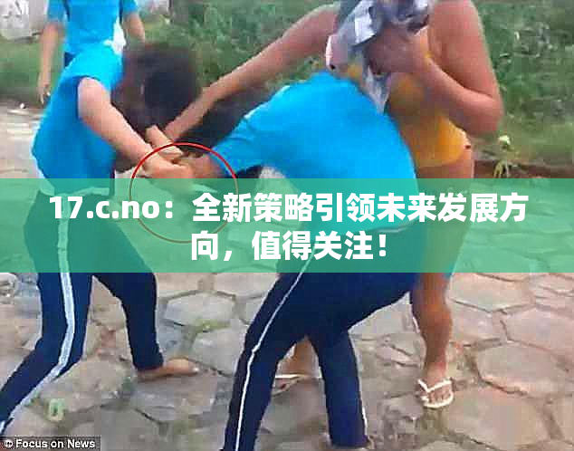 17.c.no：全新策略引领未来发展方向，值得关注！
