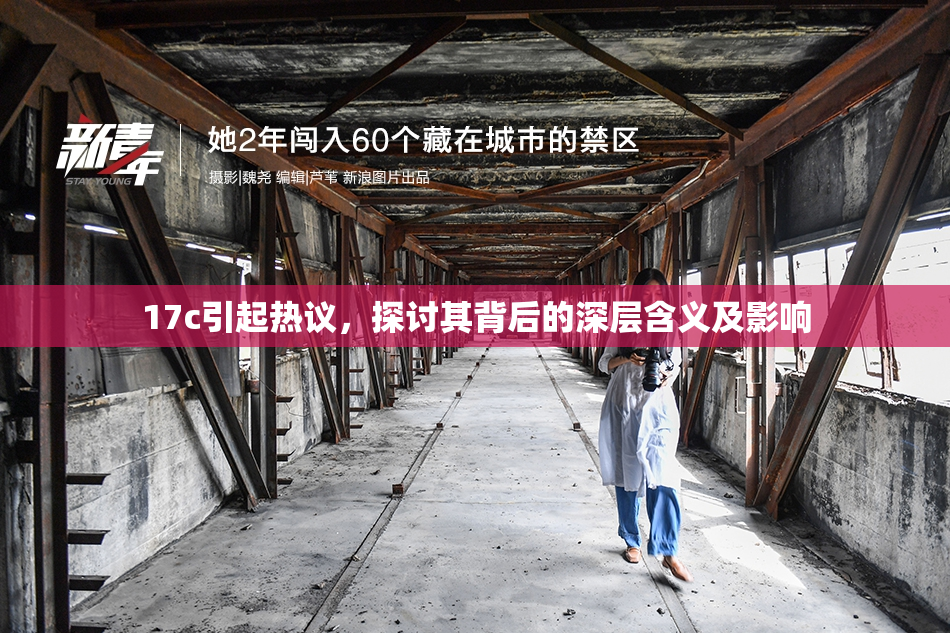 17c引起热议，探讨其背后的深层含义及影响
