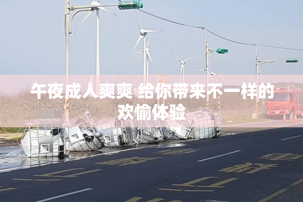 午夜成人爽爽 给你带来不一样的欢愉体验