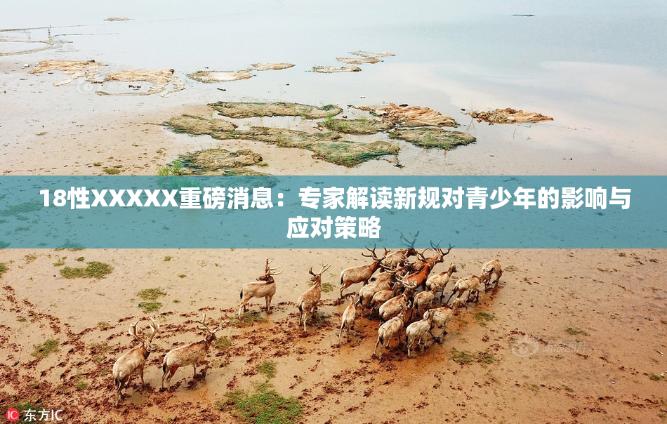 18性XXXXX重磅消息：专家解读新规对青少年的影响与应对策略