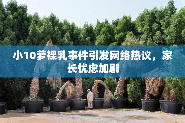 小10萝裸乳事件引发网络热议，家长忧虑加剧