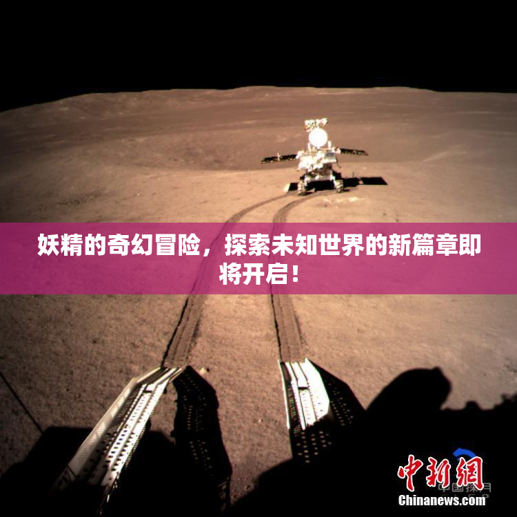 妖精的奇幻冒险，探索未知世界的新篇章即将开启！