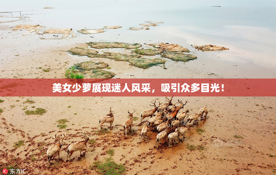 美女少萝展现迷人风采，吸引众多目光！
