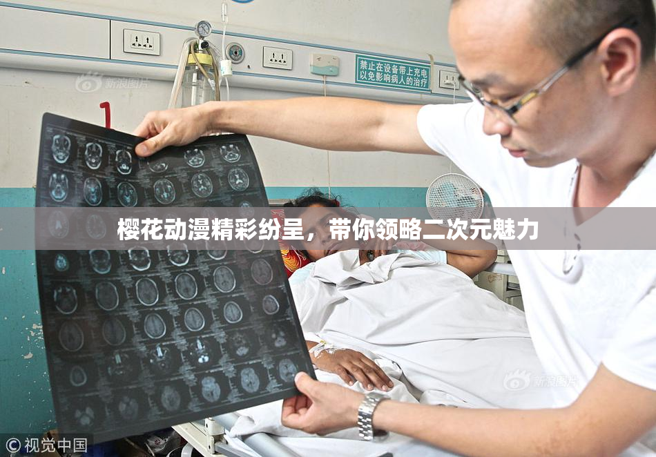 樱花动漫精彩纷呈，带你领略二次元魅力