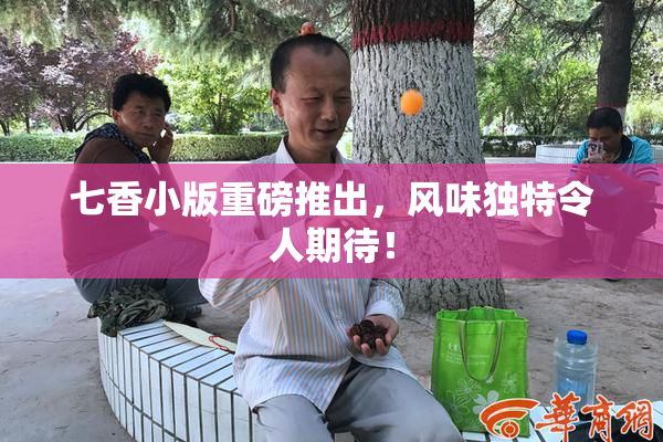 七香小版重磅推出，风味独特令人期待！