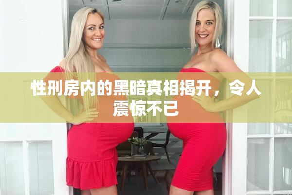 性刑房内的黑暗真相揭开，令人震惊不已