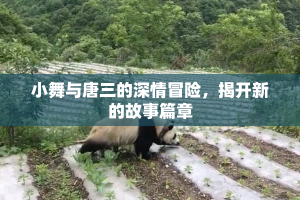 小舞与唐三的深情冒险，揭开新的故事篇章