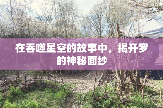 在吞噬星空的故事中，揭开罗的神秘面纱
