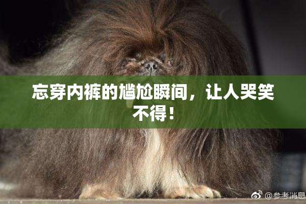 忘穿内裤的尴尬瞬间，让人哭笑不得！