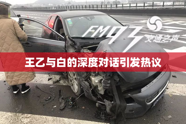 王乙与白的深度对话引发热议