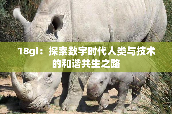 18gi：探索数字时代人类与技术的和谐共生之路