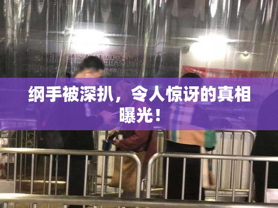 纲手被深扒，令人惊讶的真相曝光！