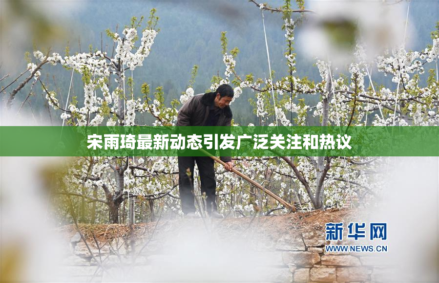 宋雨琦最新动态引发广泛关注和热议