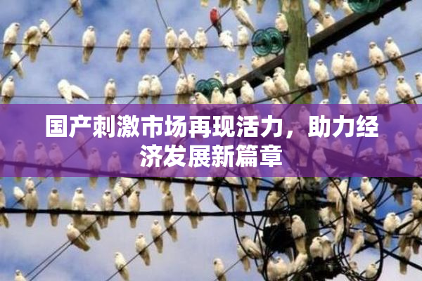 国产刺激市场再现活力，助力经济发展新篇章