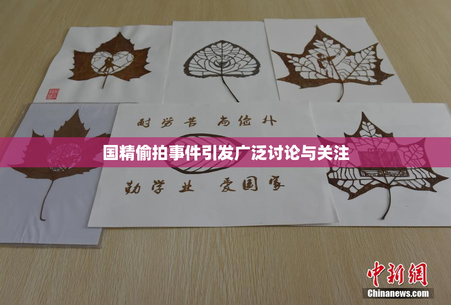 国精偷拍事件引发广泛讨论与关注