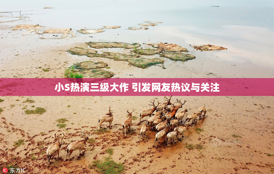 小S热演三级大作 引发网友热议与关注