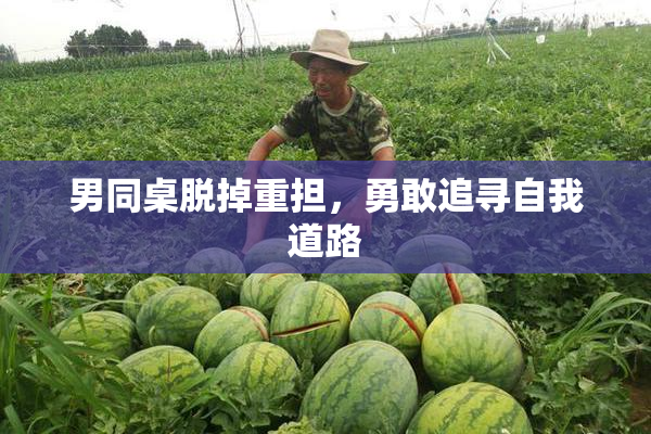 男同桌脱掉重担，勇敢追寻自我道路