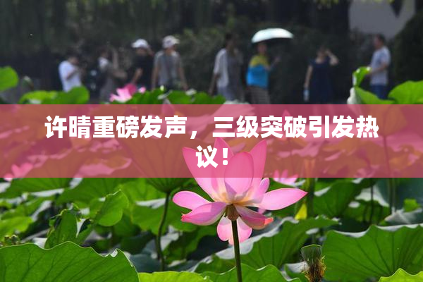 许晴重磅发声，三级突破引发热议！