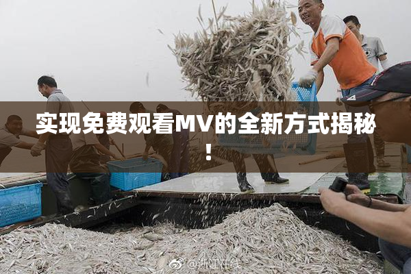 实现免费观看MV的全新方式揭秘！