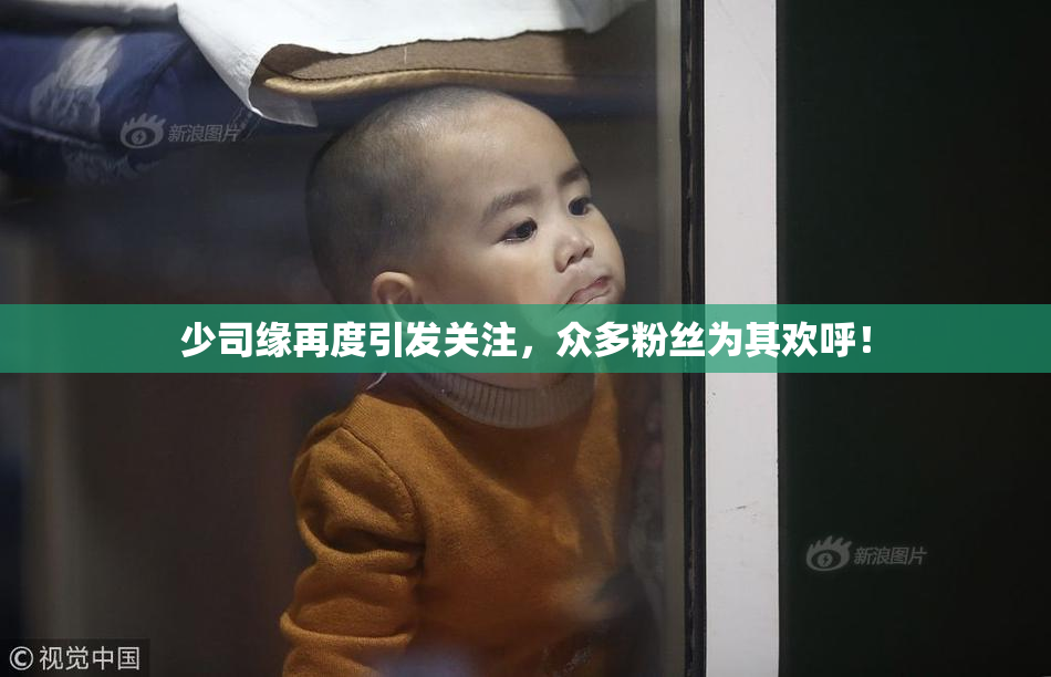 少司缘再度引发关注，众多粉丝为其欢呼！