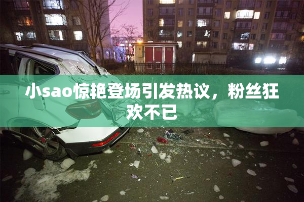 小sao惊艳登场引发热议，粉丝狂欢不已