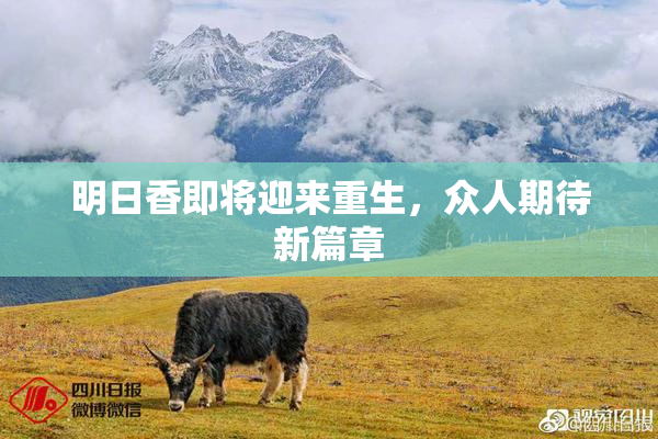 明日香即将迎来重生，众人期待新篇章