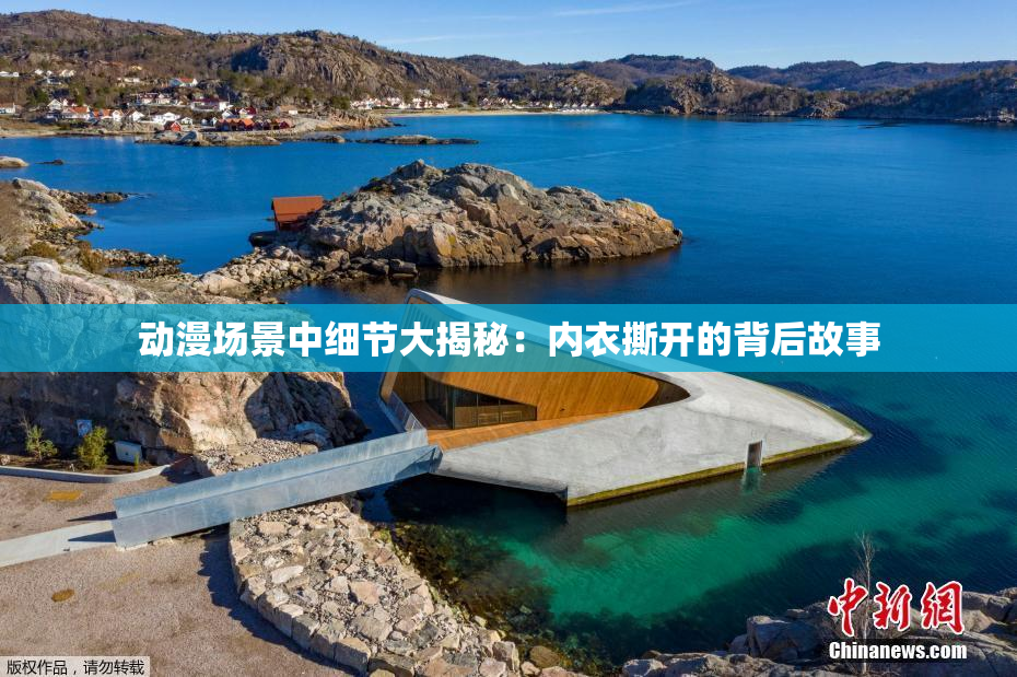 动漫场景中细节大揭秘：内衣撕开的背后故事