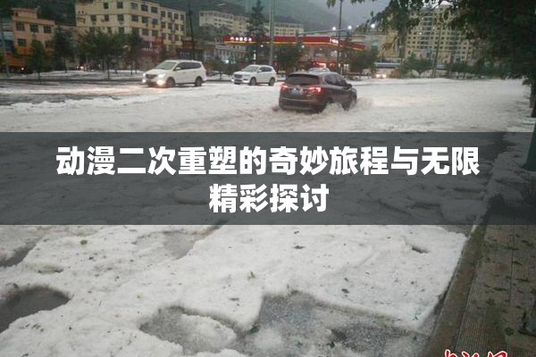 动漫二次重塑的奇妙旅程与无限精彩探讨