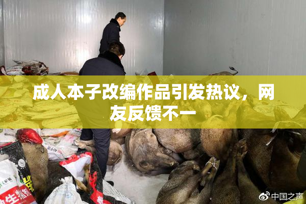 成人本子改编作品引发热议，网友反馈不一