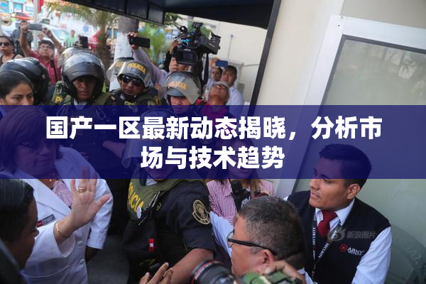 国产一区最新动态揭晓，分析市场与技术趋势