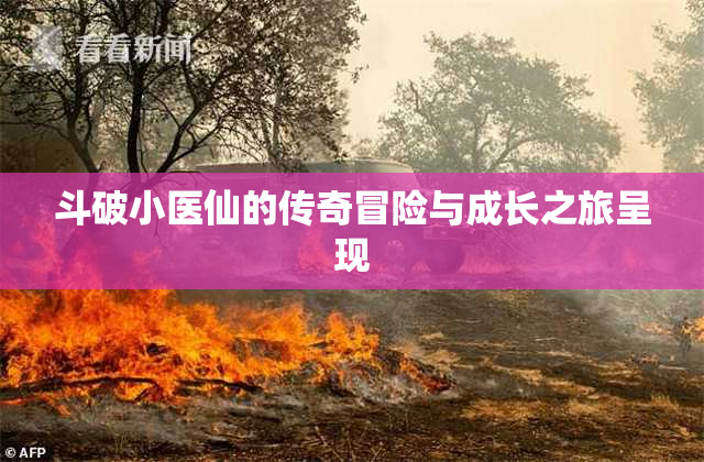 斗破小医仙的传奇冒险与成长之旅呈现