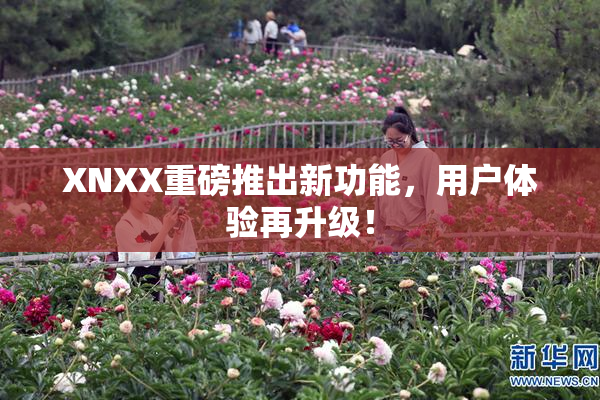 XNXX重磅推出新功能，用户体验再升级！