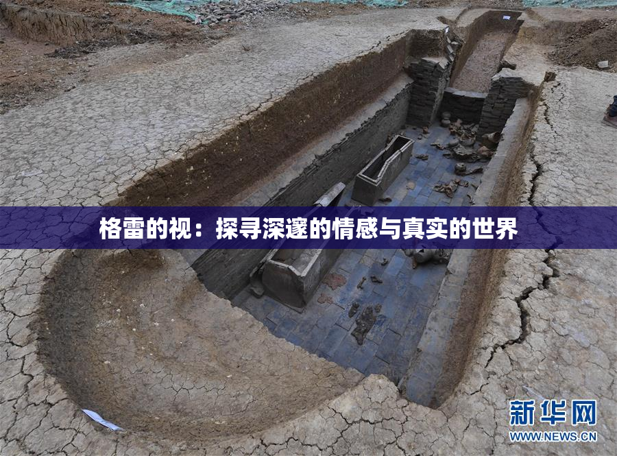 格雷的视：探寻深邃的情感与真实的世界