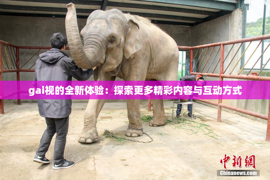 gai视的全新体验：探索更多精彩内容与互动方式