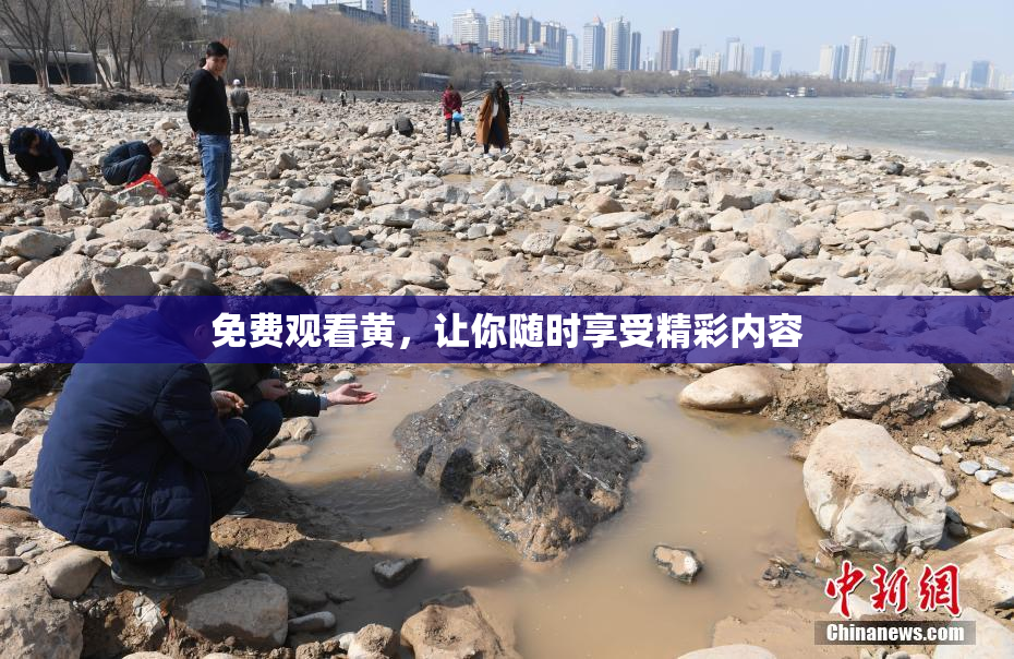免费观看黄，让你随时享受精彩内容