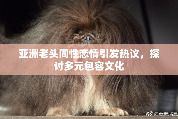 亚洲老头同性恋情引发热议，探讨多元包容文化