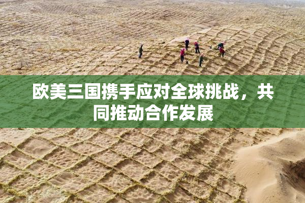 欧美三国携手应对全球挑战，共同推动合作发展