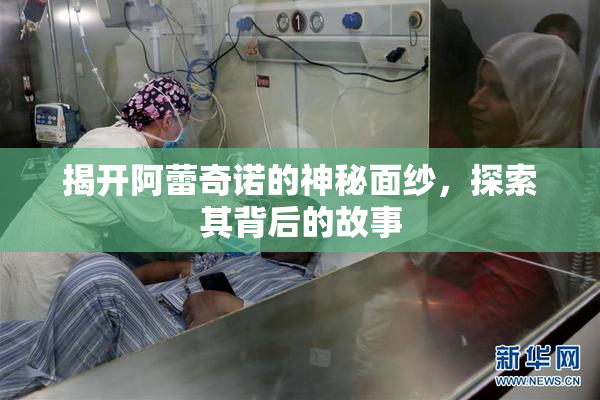揭开阿蕾奇诺的神秘面纱，探索其背后的故事