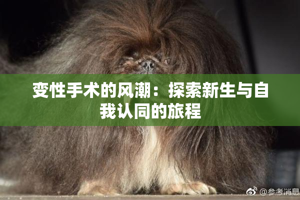 变性手术的风潮：探索新生与自我认同的旅程