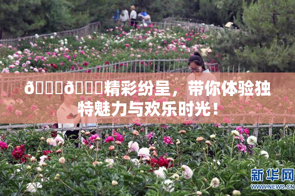 🐔🐔精彩纷呈，带你体验独特魅力与欢乐时光！