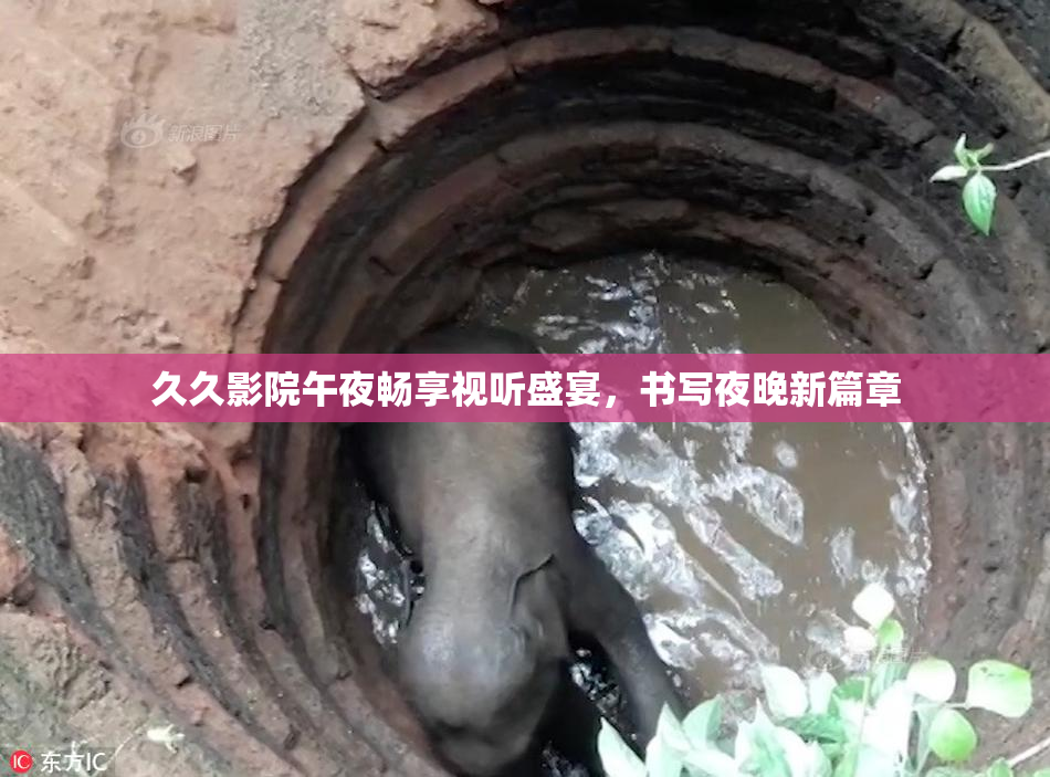久久影院午夜畅享视听盛宴，书写夜晚新篇章