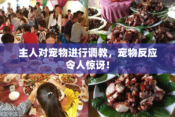 主人对宠物进行调教，宠物反应令人惊讶！