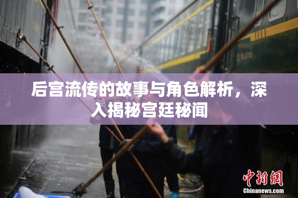 后宫流传的故事与角色解析，深入揭秘宫廷秘闻