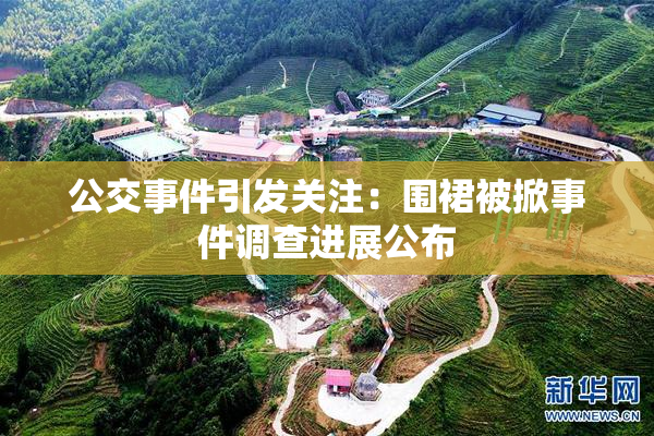 公交事件引发关注：围裙被掀事件调查进展公布