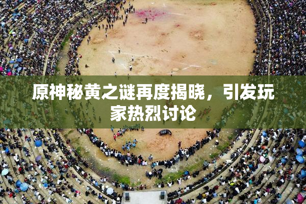 原神秘黄之谜再度揭晓，引发玩家热烈讨论
