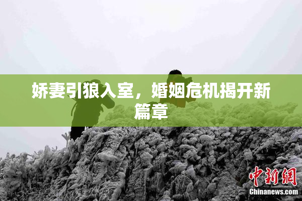娇妻引狼入室，婚姻危机揭开新篇章
