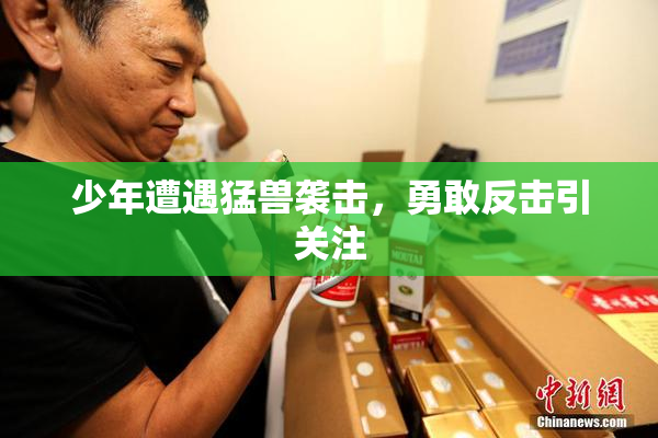 少年遭遇猛兽袭击，勇敢反击引关注