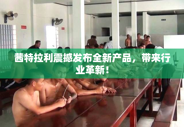 茜特拉利震撼发布全新产品，带来行业革新！