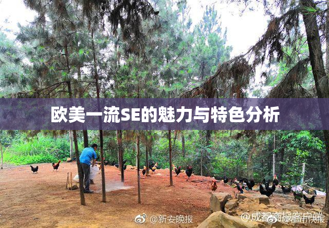 欧美一流SE的魅力与特色分析